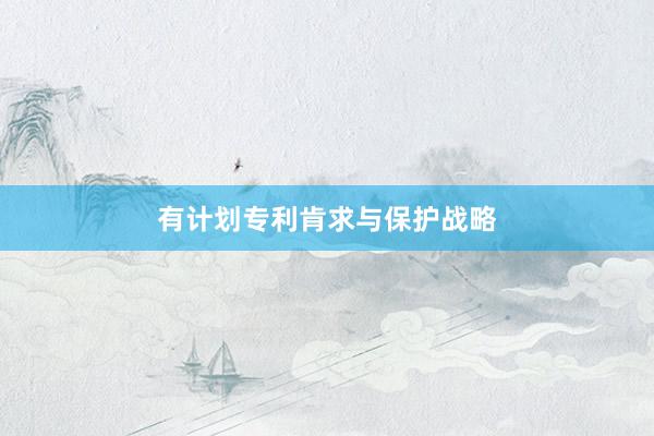 有计划专利肯求与保护战略
