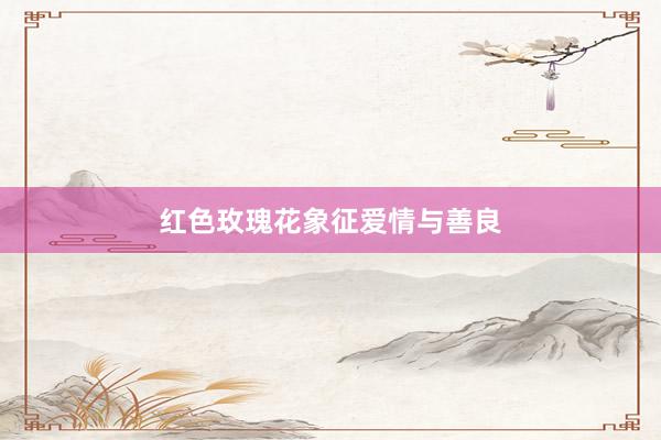 红色玫瑰花象征爱情与善良