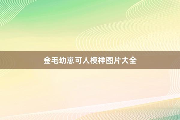 金毛幼崽可人模样图片大全